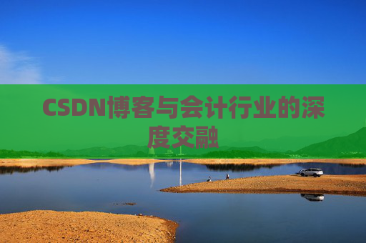 CSDN博客与会计行业的深度交融